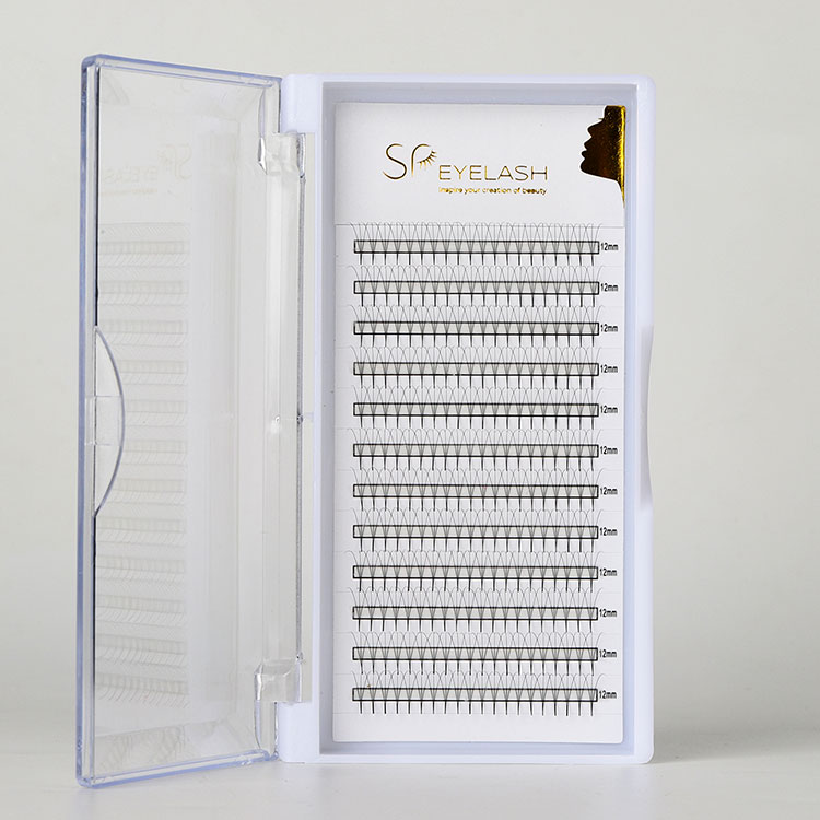 더 빠르고, 더 풍성하고, 오래 지속되는 속눈썹 연장을 위해 Promade Pointy Fan을 선택하는 방법은 무엇입니까?