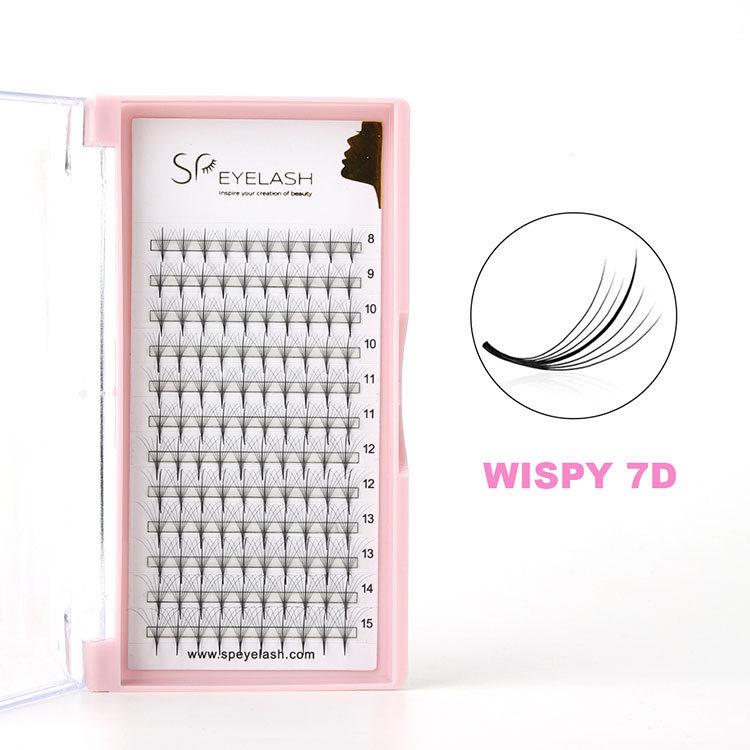 7d vispy 속눈썹