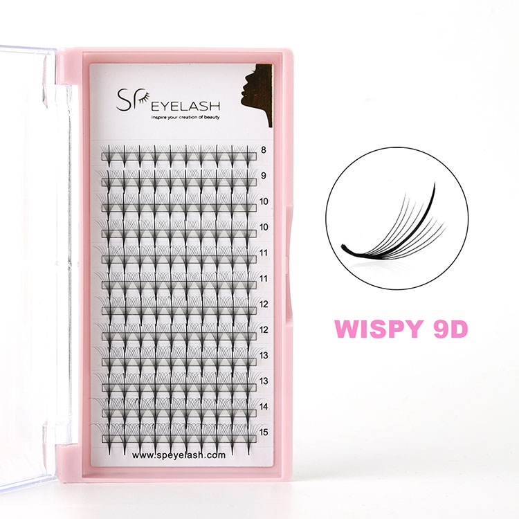9d vispy 속눈썹